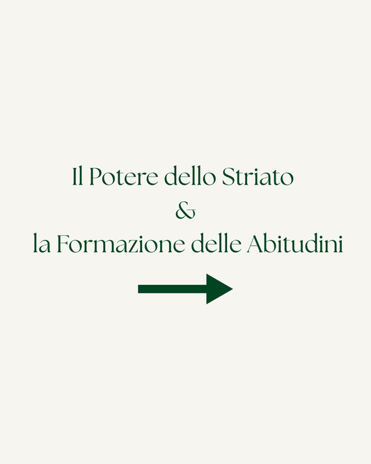Lo Striato e la Formazione delle Abitudini: Come il Tuo Cervello Decide per Te (Senza Che Tu Te Ne Accorga)