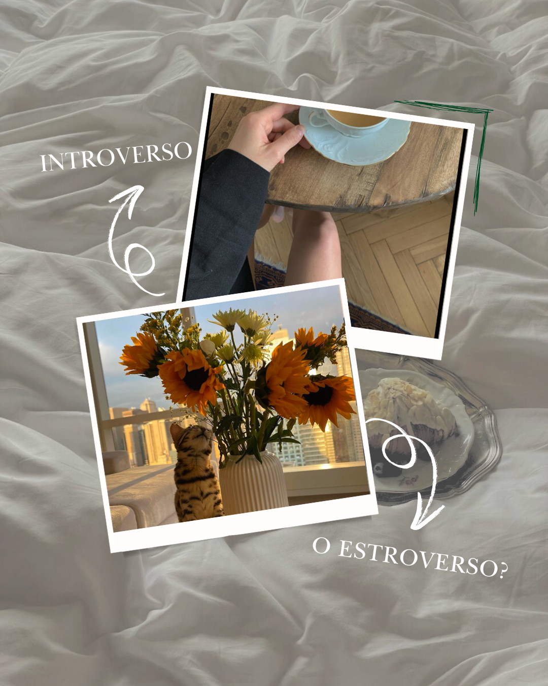 Introverso vs Estroverso: capire lo spettro della personalità nella vita di tutti i giorni